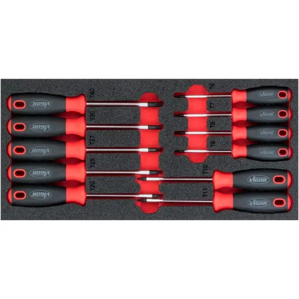 Vigor Sada skrutkovačov TORX® V4991